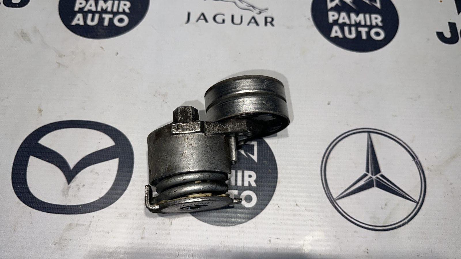 Натяжитель ремня Renault Scenic/2 2003-2009